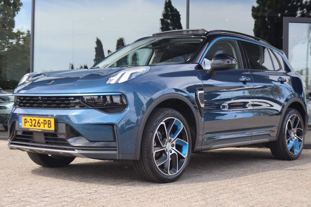 56253117